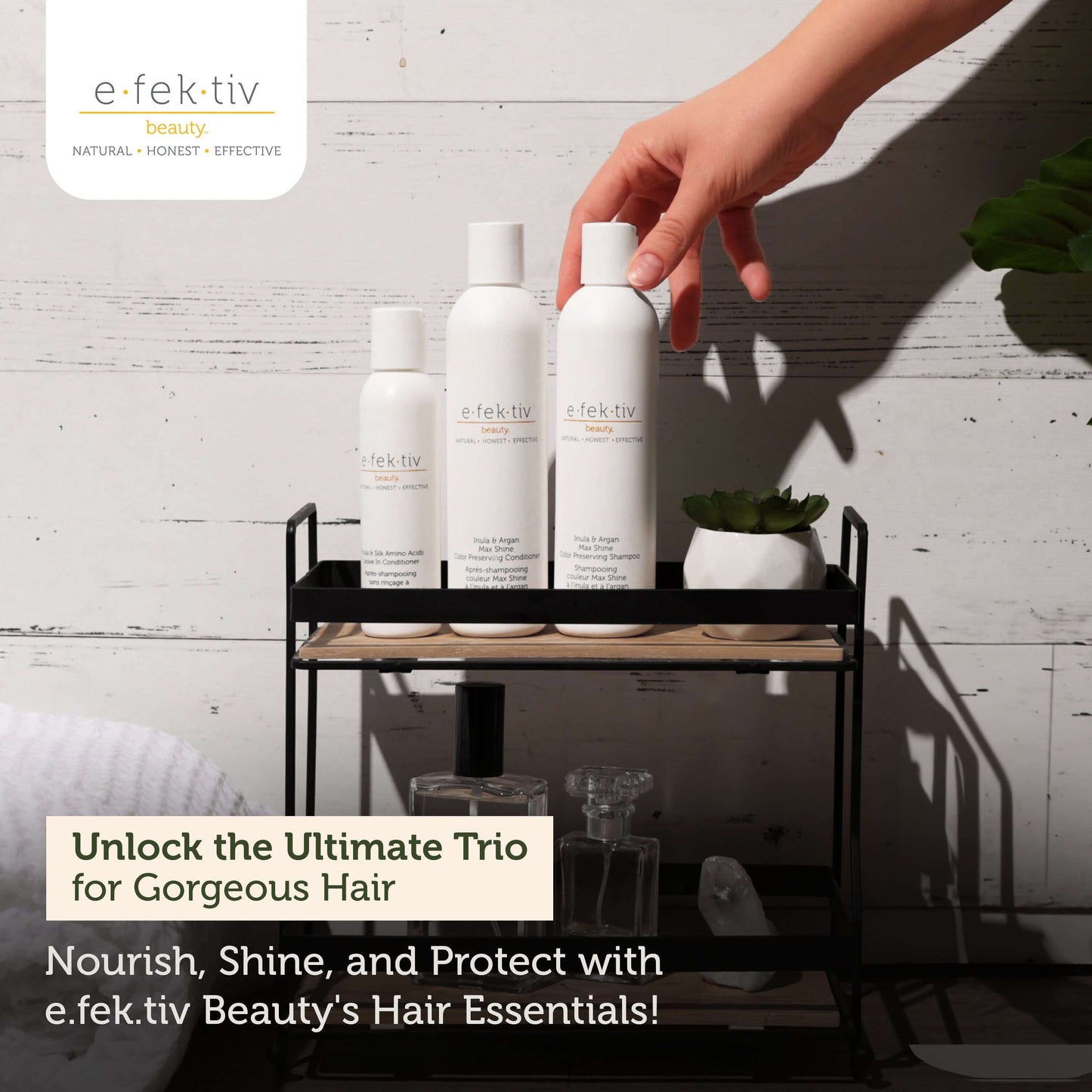 Color-Preserving Conditioner with Inula & Argan