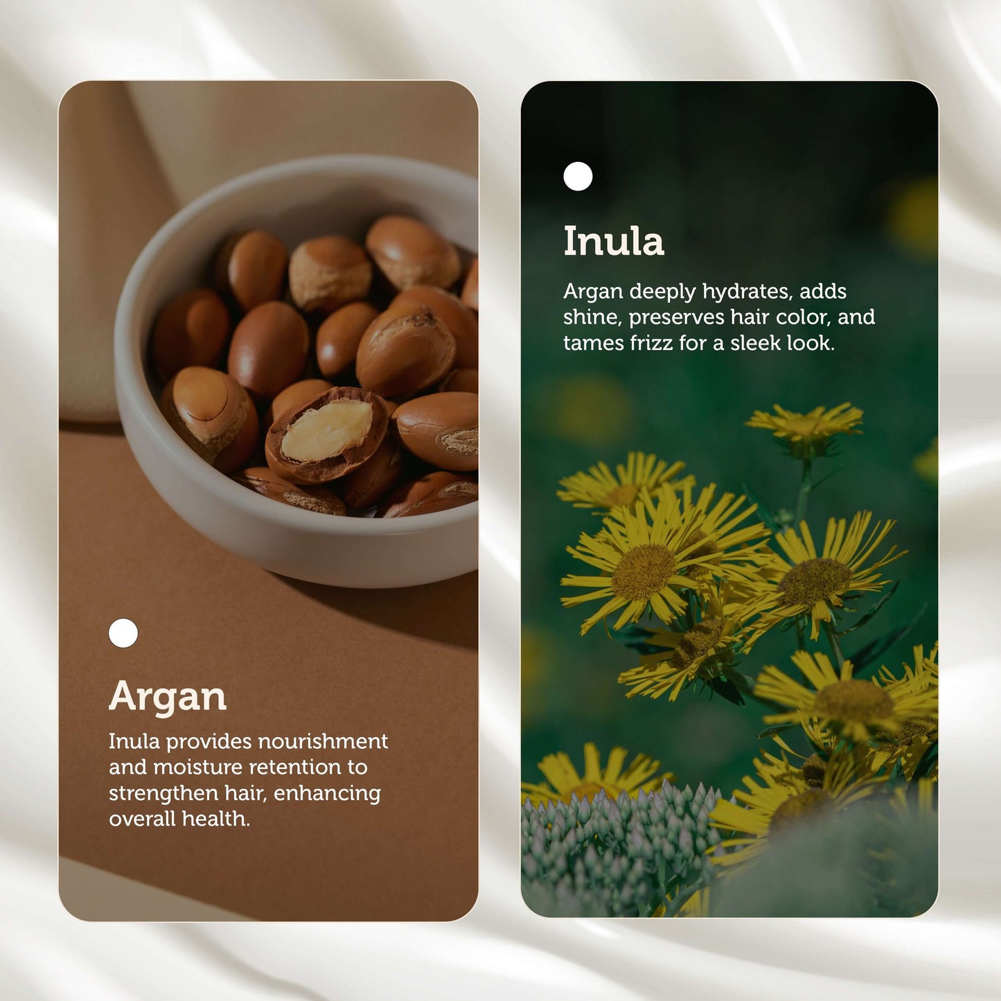 Enhance Shine with Inula & Argan Conditioner