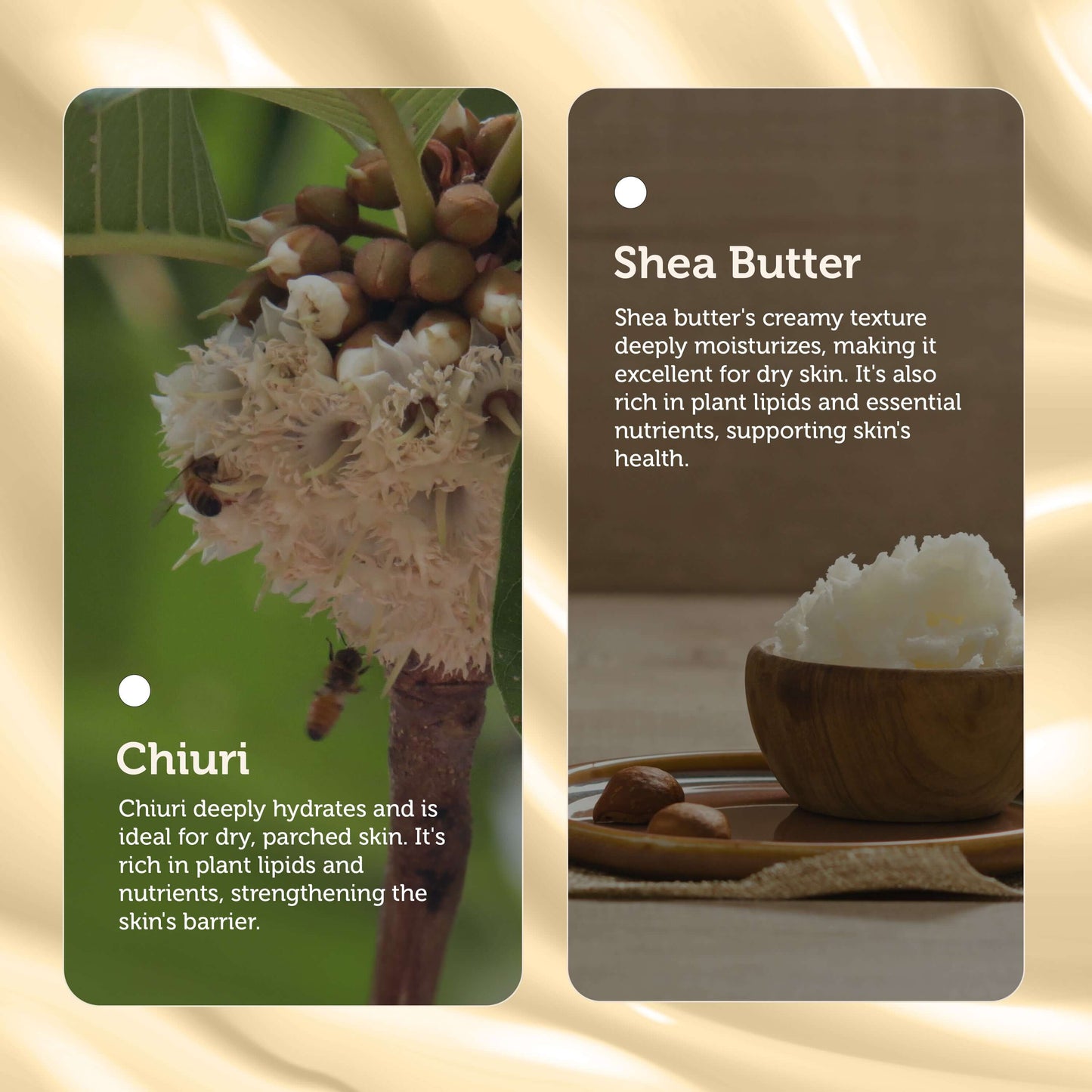 Nourishing Body Balm with Chiuri and Shea Butter (Efektiv)