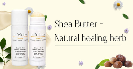 Shea Butter - Natural Healing Herbs For Skin